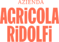 Agricola Ridolfi | Vendita Online Nettarine IGP di Romagna